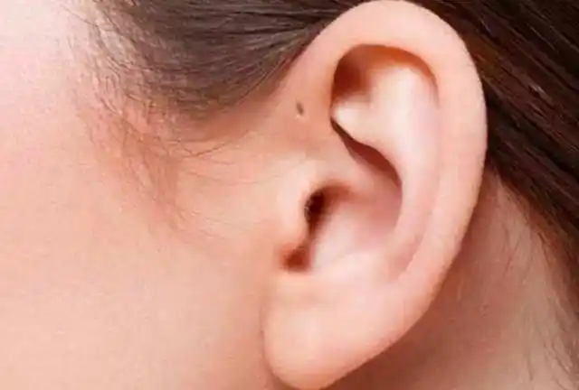 导语:或许很多人都经常听到老人说"耳朵大的人有福",许多人通过观察