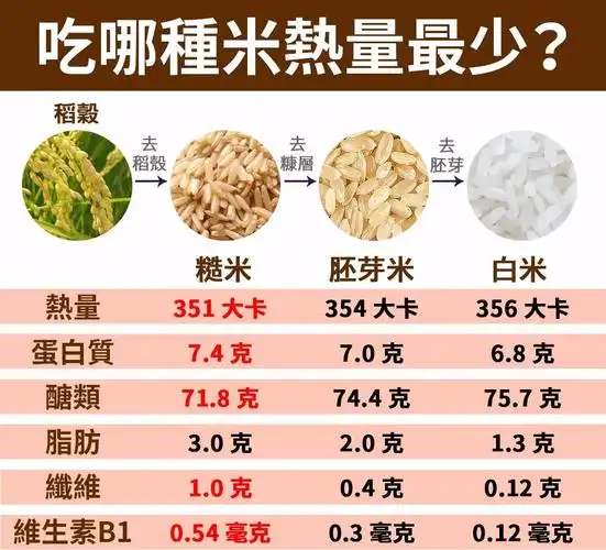 男人吃蜂蛹的功效与作用男人吃雄蜂蛹有什么好处