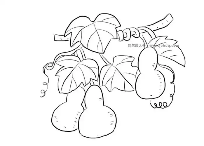 挂满葫芦的葫芦藤 - 学院 - 摸鱼网 - ∑(っ