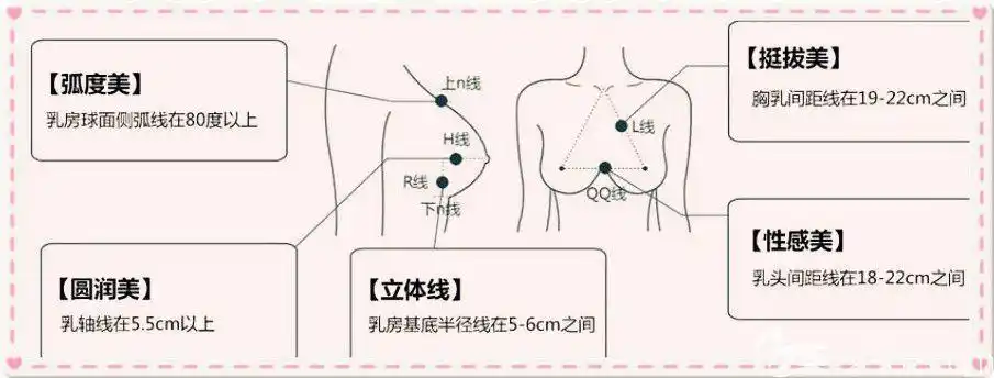 出一个身高165cma杯女生的假体隆胸参考尺寸来告诉你多大合适?