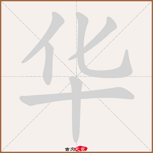 华的拼音怎么读