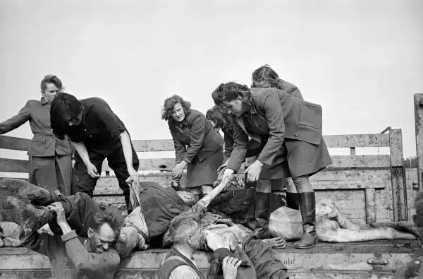 mistureba de fotos. | webkits modelismo