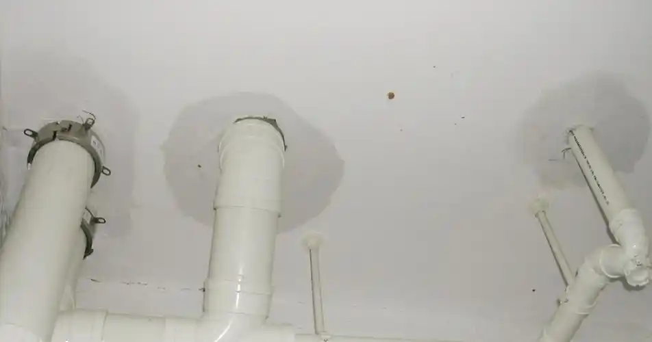 卫生间漏水,不砸砖怎么补漏?我花了3000元,把坑都替你们踩完了