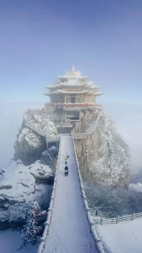 这个冬天总要去一趟老君山吧!赏雪攻略请收藏