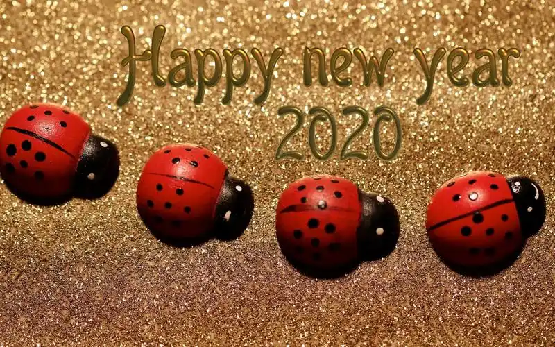 2020创意新颖艺术字高清电脑壁纸