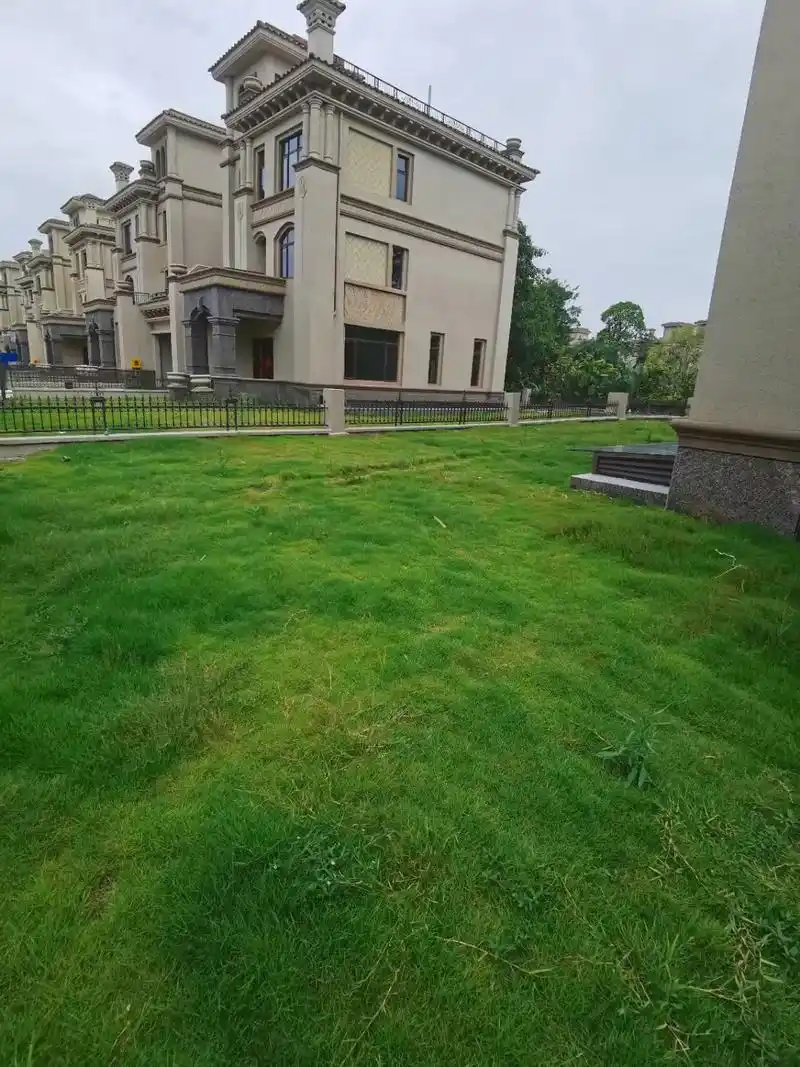 佛山三水白坭恒大山水龙盘双拼别墅