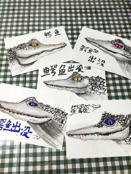 大龄动物画之鳄鱼