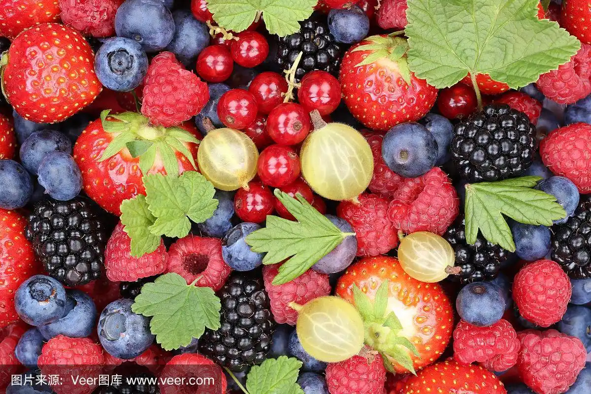 浆果类水果采草莓,蓝莓,覆盆子,红醋栗叶