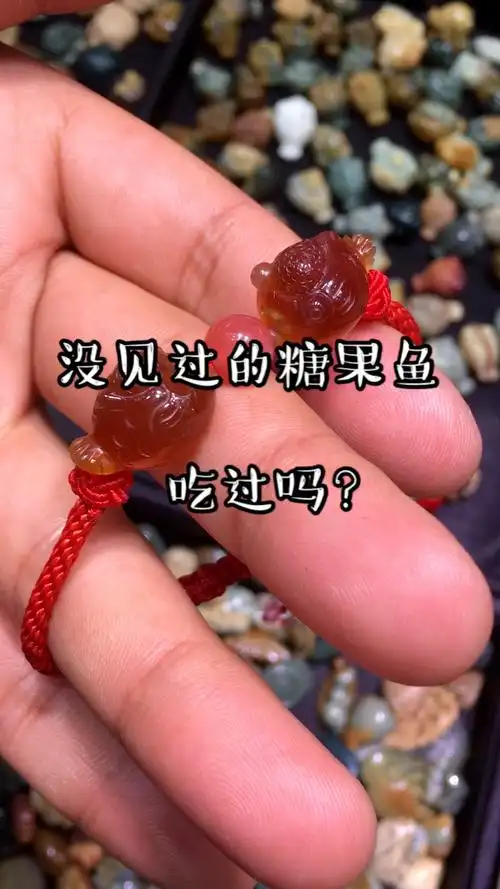 貌似 是俩糖果鱼哦 你见过不?