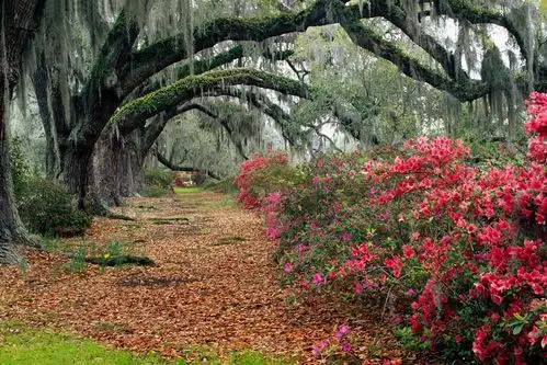 adam jones漂亮的自然风光摄影作品(7)