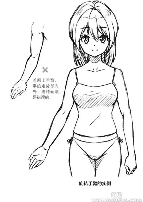 手臂的整体形状并不是一成不变的,当手臂做旋转或弯曲运动的时候,手臂