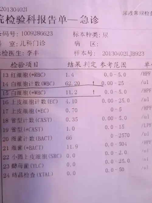 女孩子今年六岁,尿常规里白细胞高出正常值的二倍多,医生确认为尿道