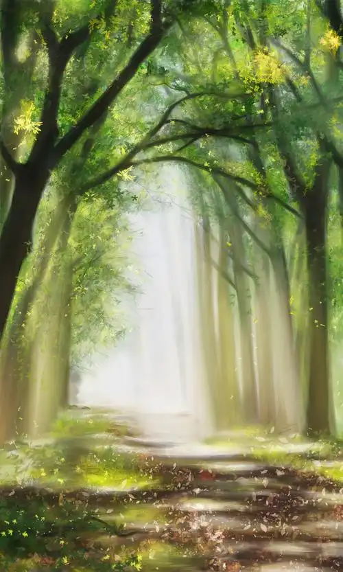 森林|插画|创作习作|水果侠 - 原创作品 - 站酷 (zcool)