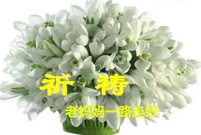 【绿野精华帖】全体文友送腊月春风的老妈妈一路走好 绿野心语 江山