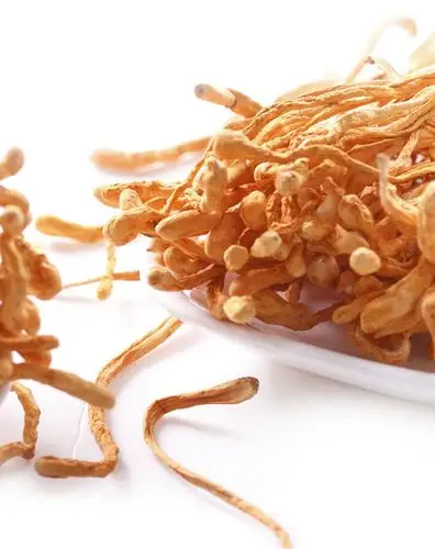 蛹虫草100g(2件起售)(罐装)