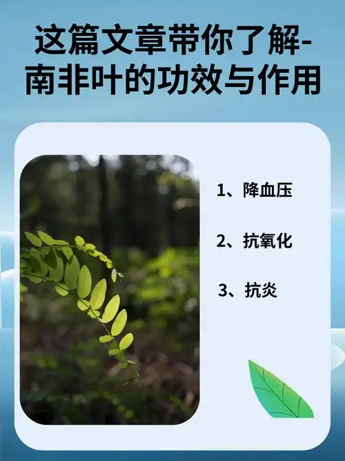 这篇文章带你了解-南非叶的功效与作用