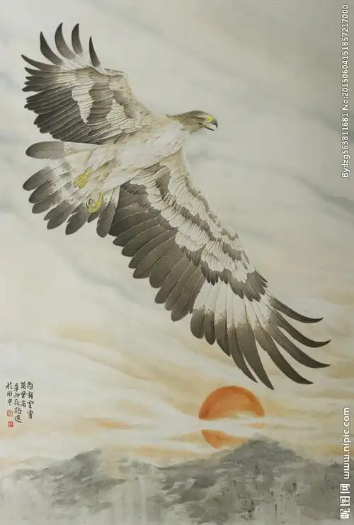 老鹰工笔画图片