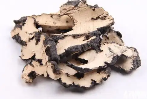 猪苓的鉴别方法