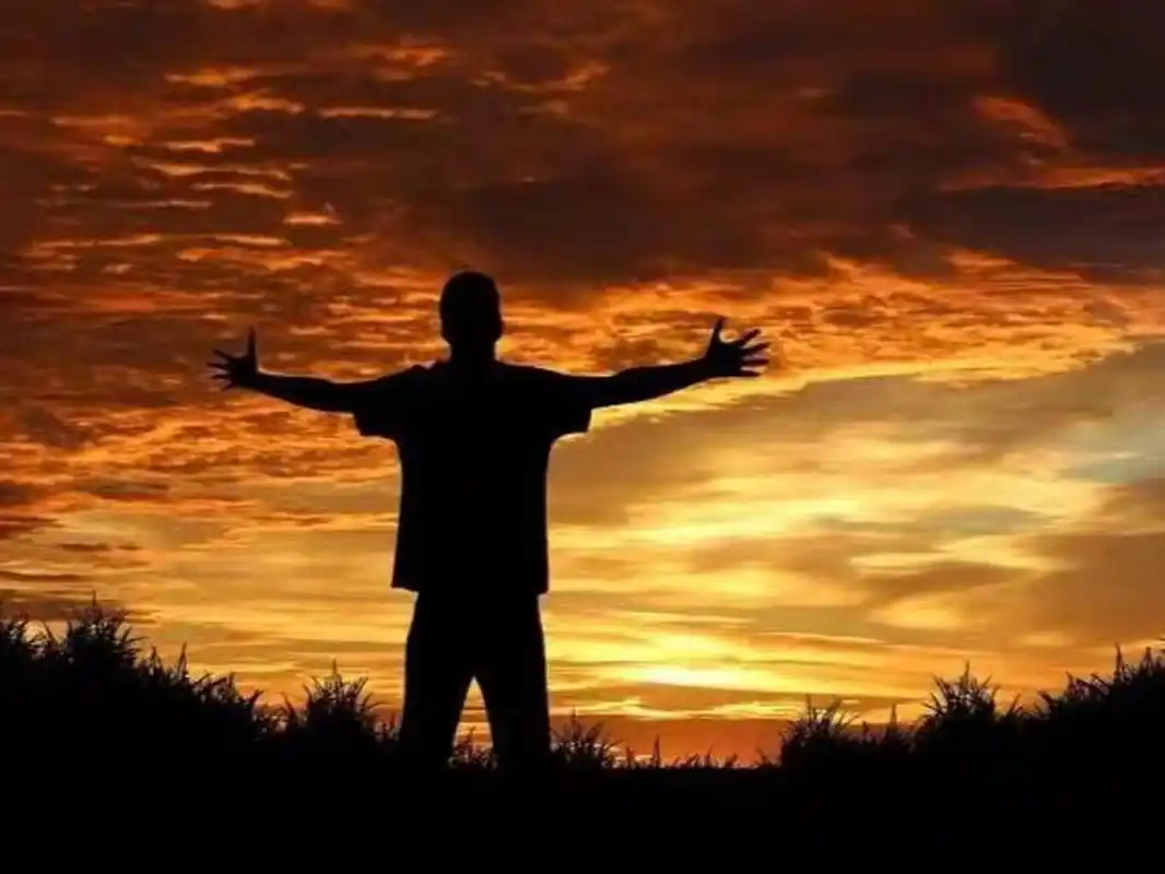 成年人口中的最大谎言  成年人常常被视为稳重,成熟和诚实的象征.