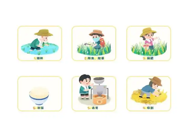 语言区一粒米的成长大班