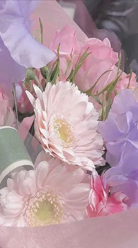 花草- 堆糖,美图壁纸兴趣社区