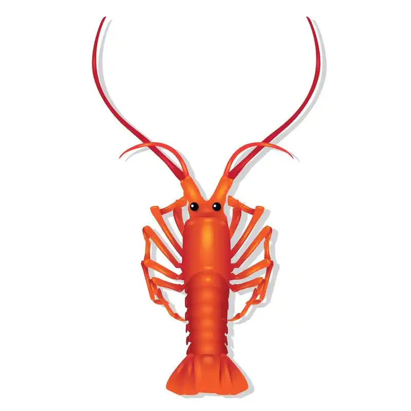 龙虾图矢量,抽象的龙虾图矢量