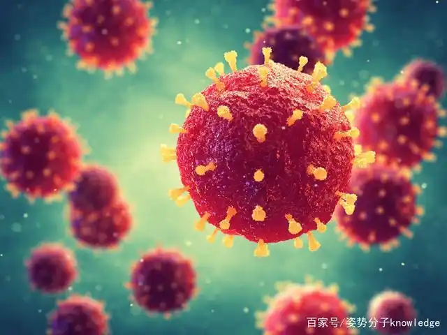 这个新冠病毒有什么症状 请问新冠病毒的症状是什么