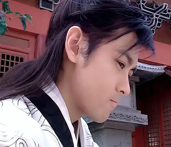 林志颖虽然是歌手出道,却因古装剧走红,他出演的古装剧有很多,如