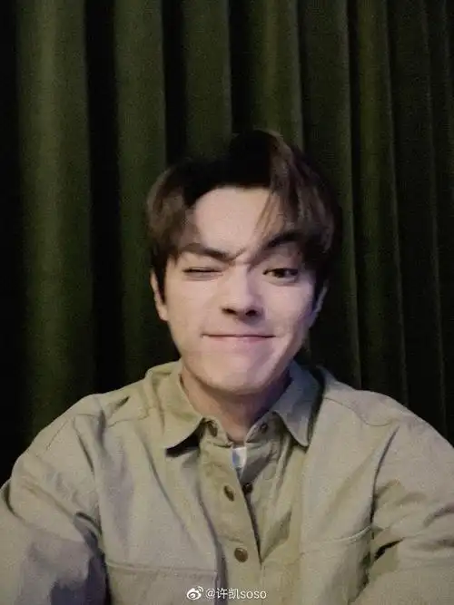 组图许凯微博营业晒怼脸自拍对镜头wink帅气又可爱
