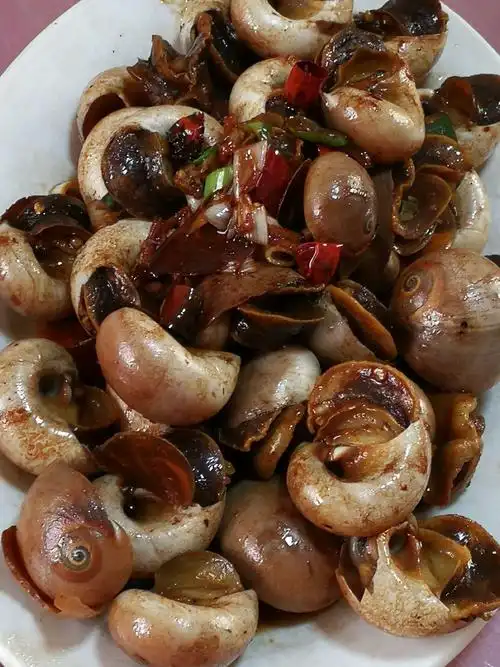 酱爆海荸荠(香螺)