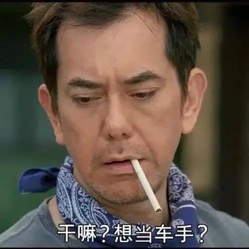 黄秋生:干嘛?想当车手?