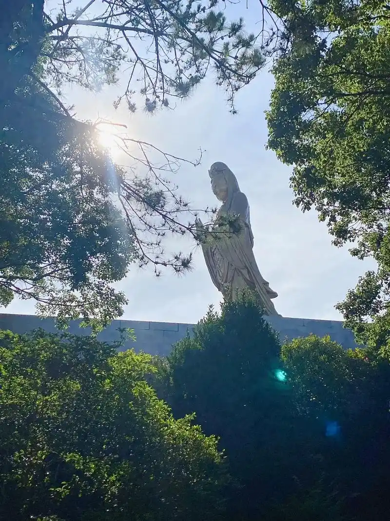 普陀山61普济寺.#普陀山 #愿所求皆所愿 #愿众生平安吉祥  - 抖音