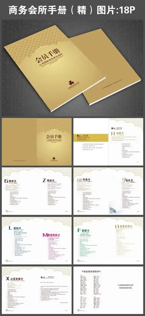 【cdr】商务会所手册(精)图片