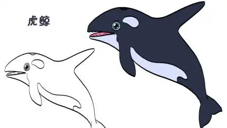 简笔画大全,虎鲸(三)