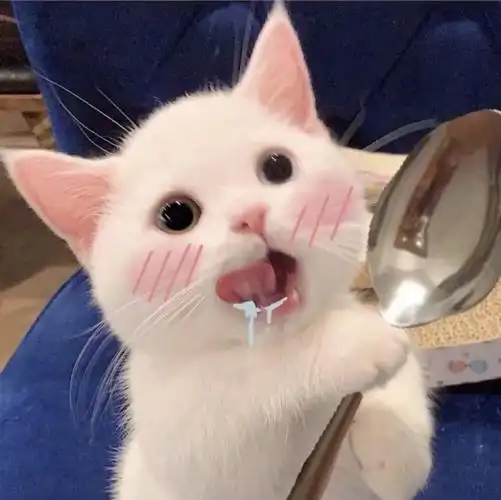 情侣头像 猫咪头像 闺蜜头像