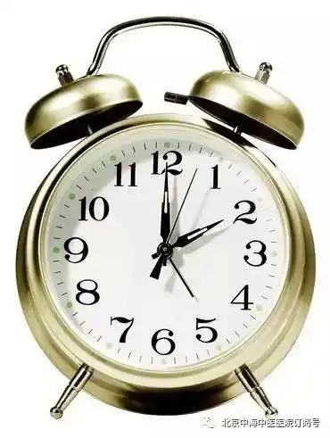 24小时养生"生物钟", 健康无极限