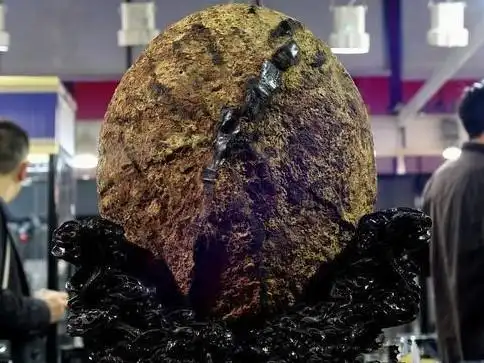 但是你有没有见过世界上最大的琥珀呢?下面就带大家见识