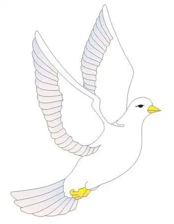 青鸟的简笔画怎么画