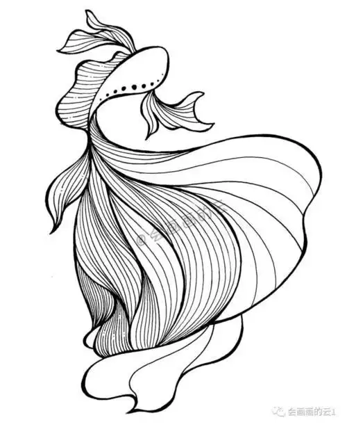 怎么画斗鱼简笔画