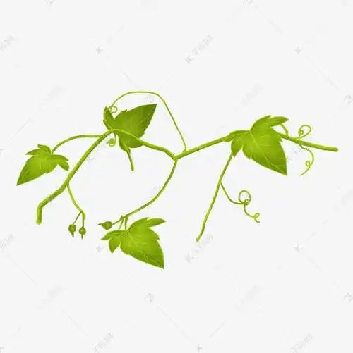 个瓜78手指创意简笔画丝瓜瓜架简笔画的简单画法藤山长着的黄瓜怎么画