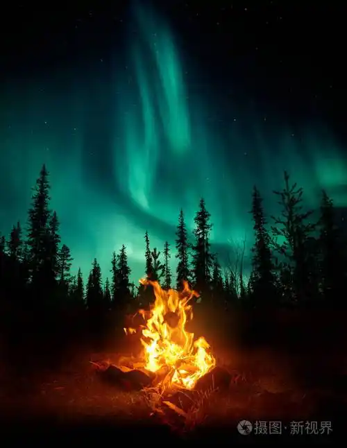 一场温暖舒适的篝火在荒野中,森林树木在背景中剪影,星星和北极光