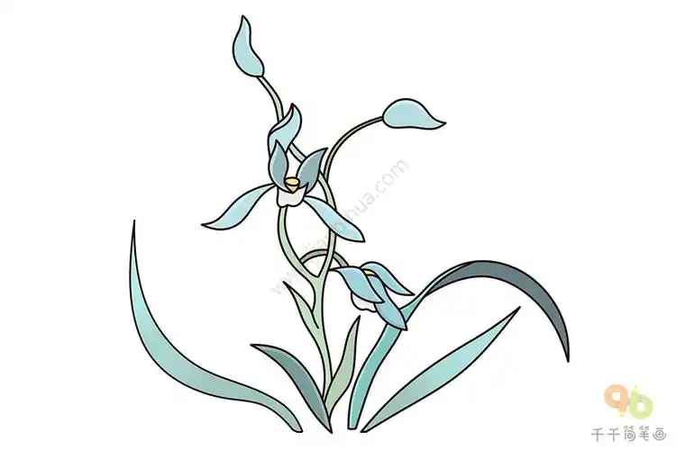 优雅的兰花简笔画_花朵简笔画