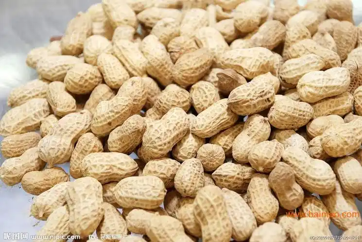 花生的营养价值