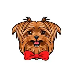 装饰弓.红弓.狗头, 脸, 枪口.向量照片