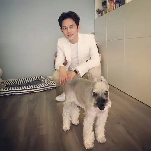 何炅宠物抱抱是什么狗