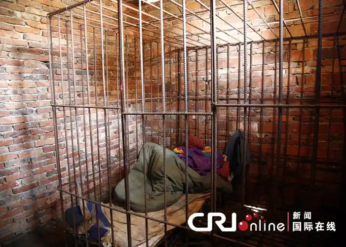 江西青年犯病就打人 父亲无奈铁笼侍候(组图)