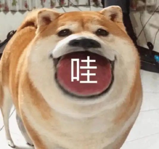 萌宠汪星人哇惊讶呆萌可爱gif动图_动态图_表情包下载_soogif