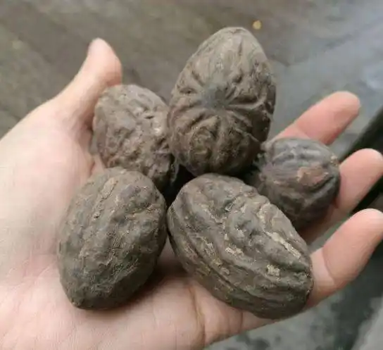 盘玩_染色_漂亮