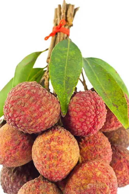 荔枝红孤立的白色背景上的新鲜荔枝