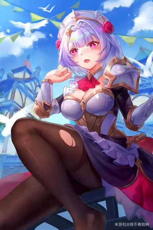 诺艾尔-原神社区-米游社